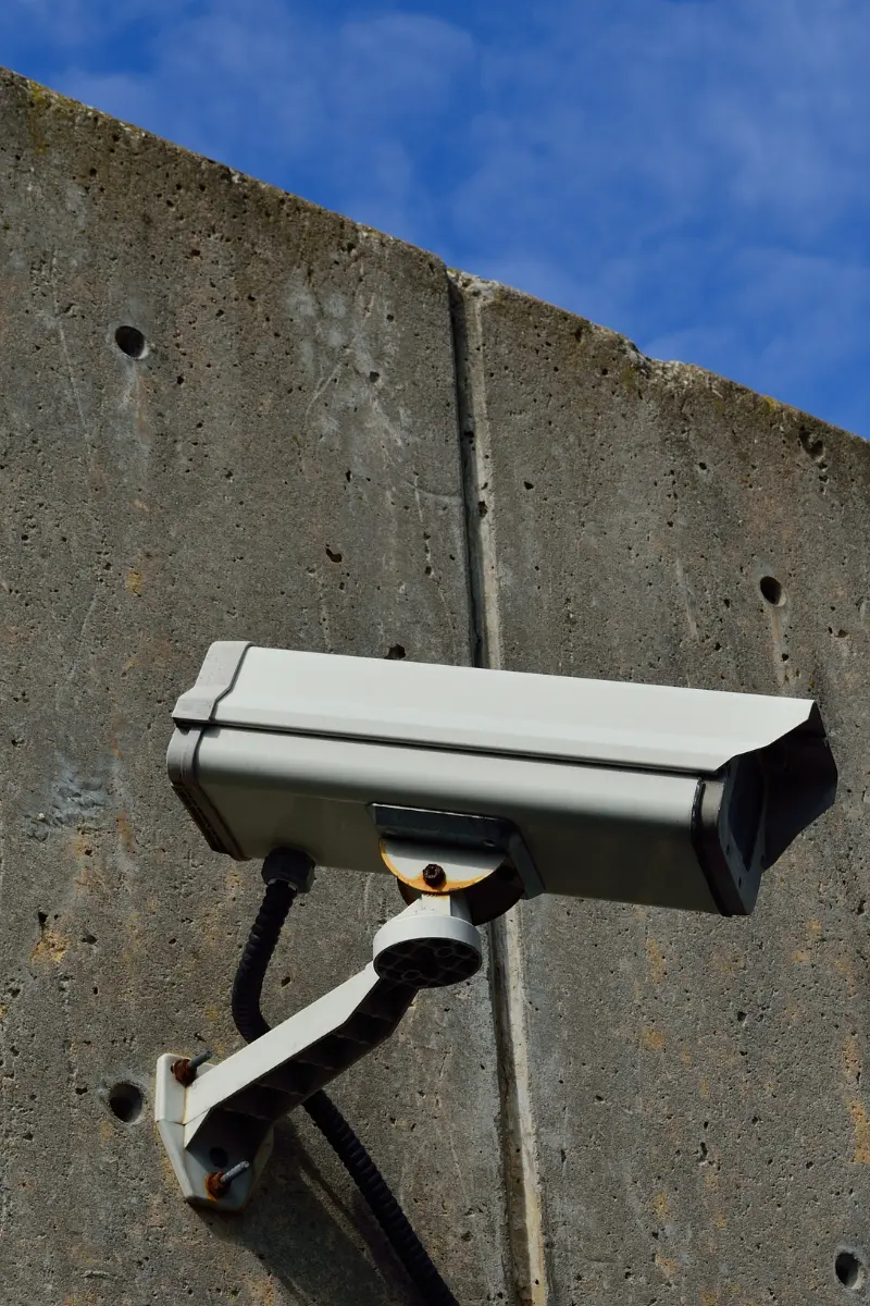 Tipos de cámaras de seguridad soportadas